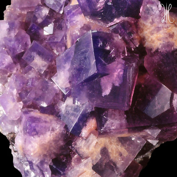 The Traveller Misbaha Bracelet: Purple Flourite - 100 Beads, 8mm